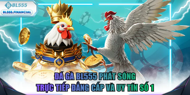 đá gà BL555